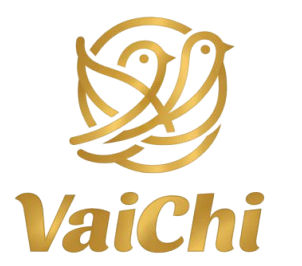 vaichi_logo-removebg-preview